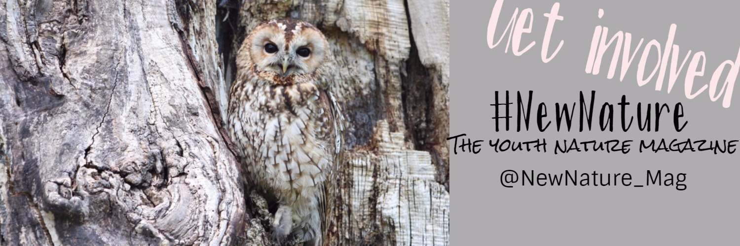 Six months of New Nature