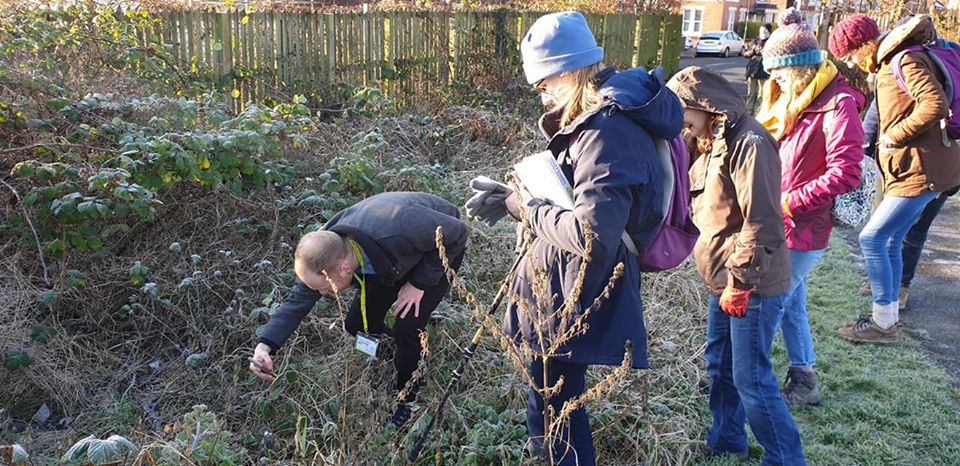 A Tale of Two Plant Hunts