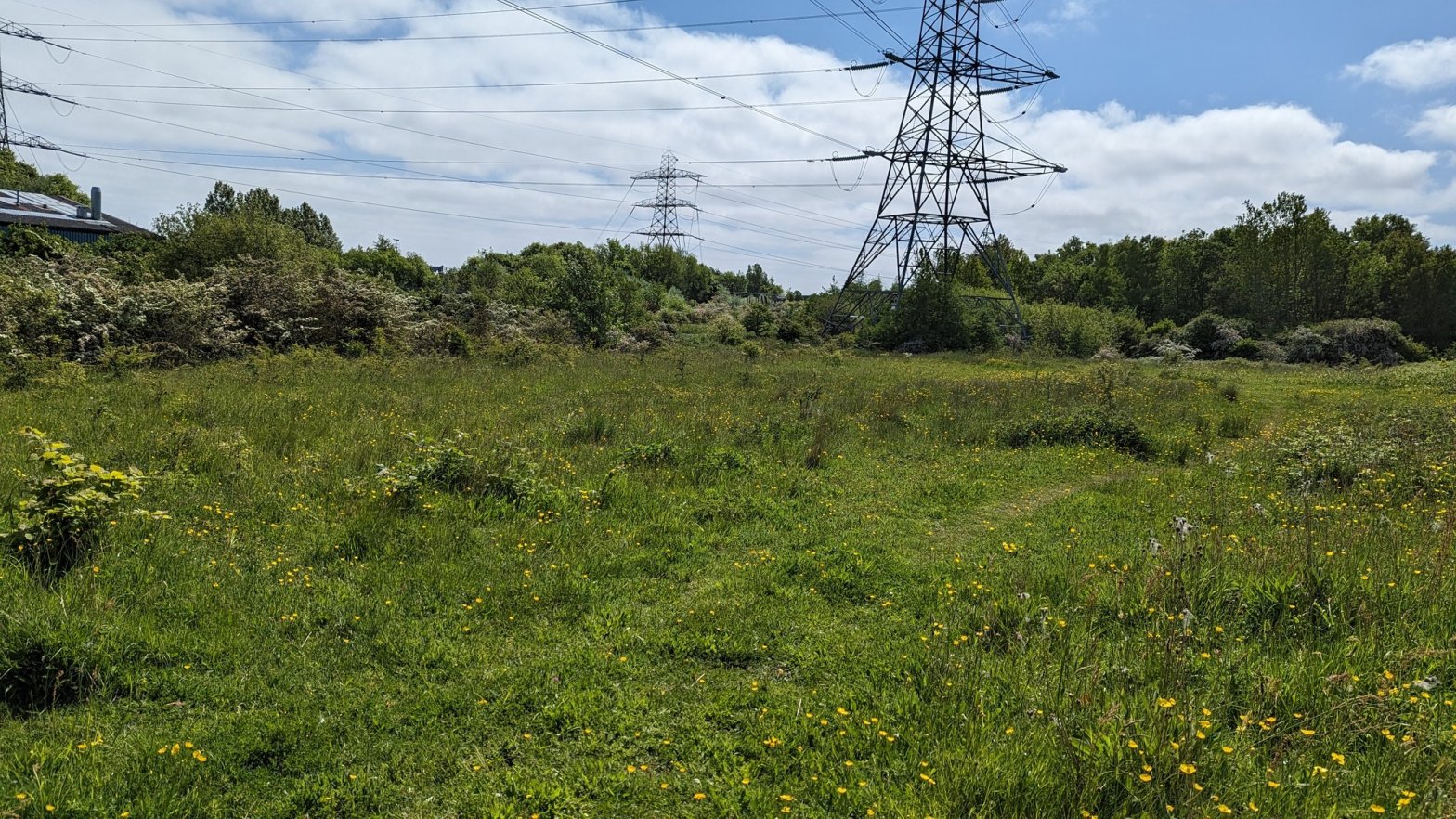 Places to Visit: Silverlink Park