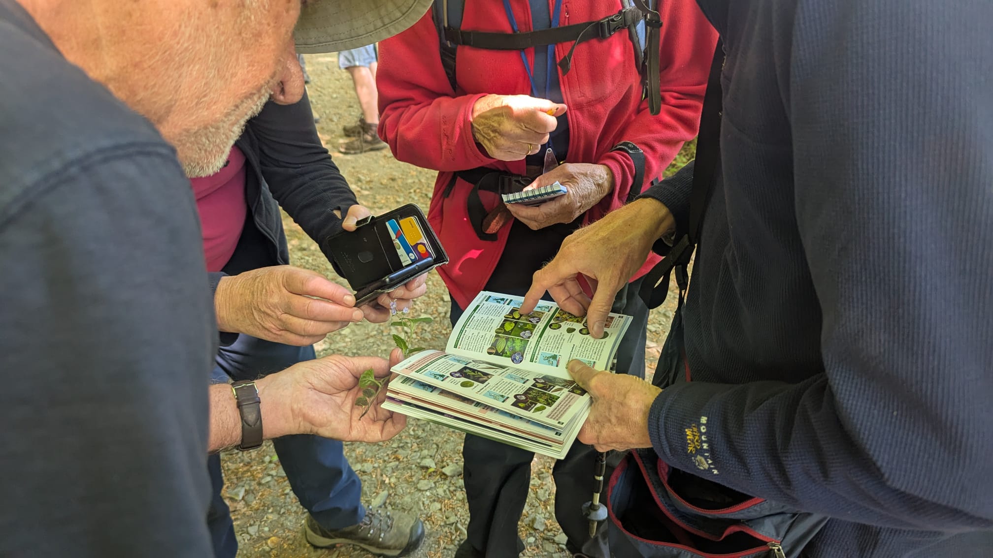 Allen Banks & Briarwood Banks