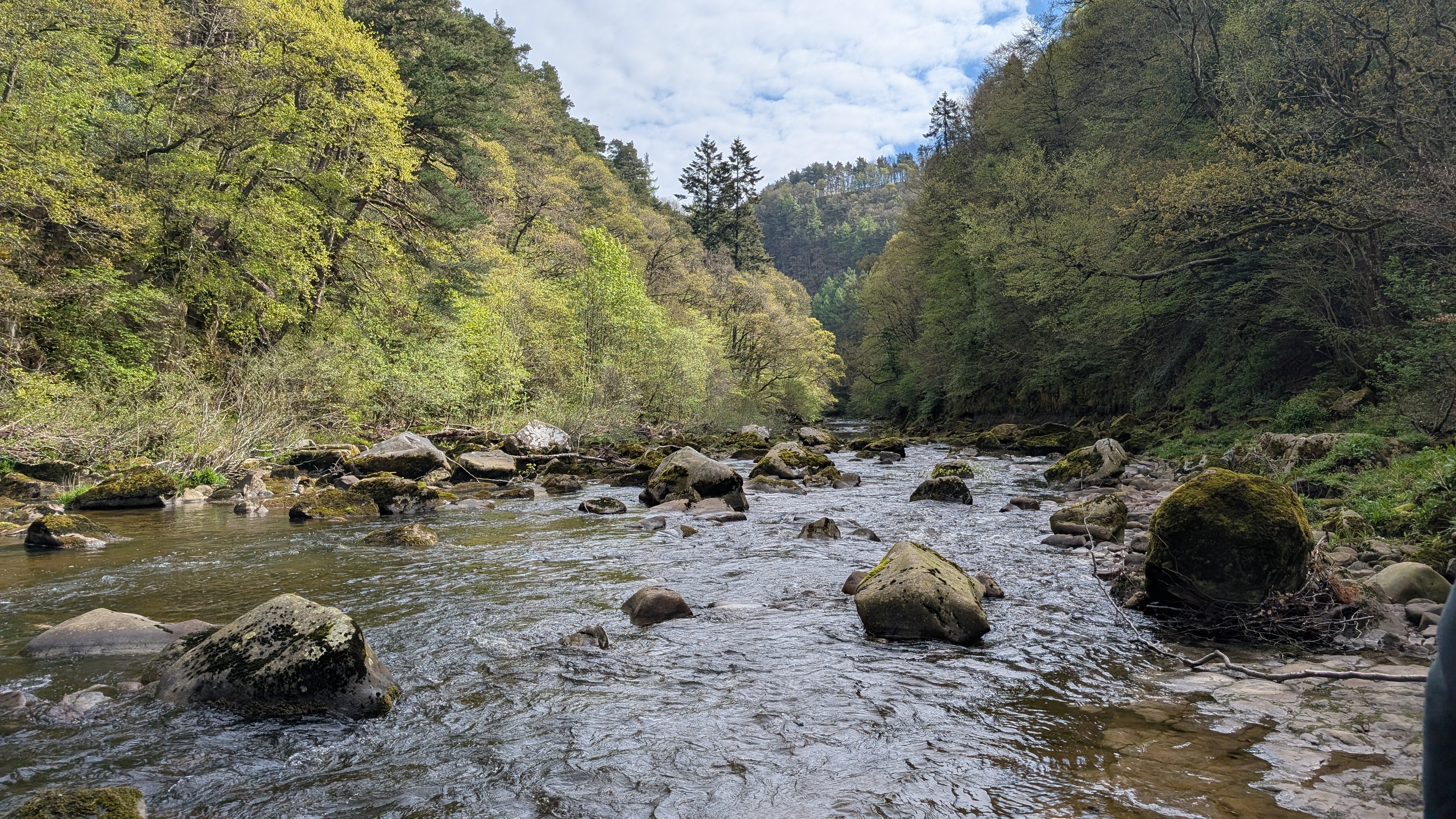 Cupola Bridge, Stawardpeel & Briarwood Banks